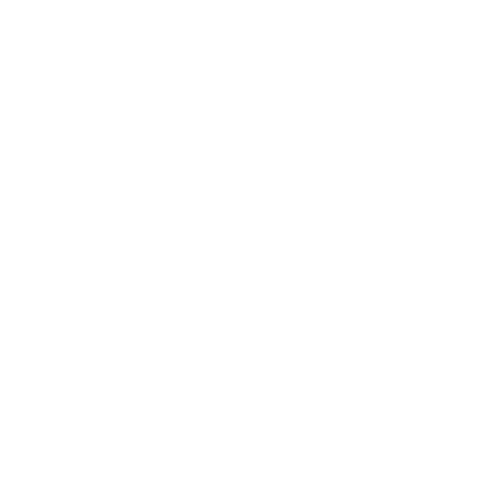Magnetsko
